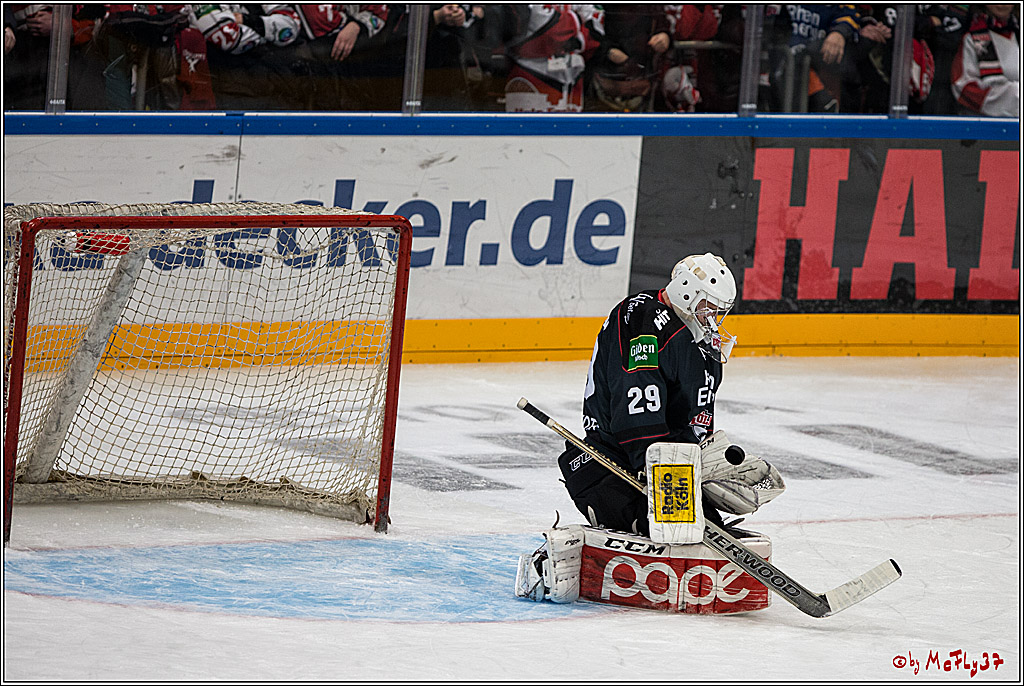DEL, Koelner Haie - Augsburger Panther, 13.01.2017